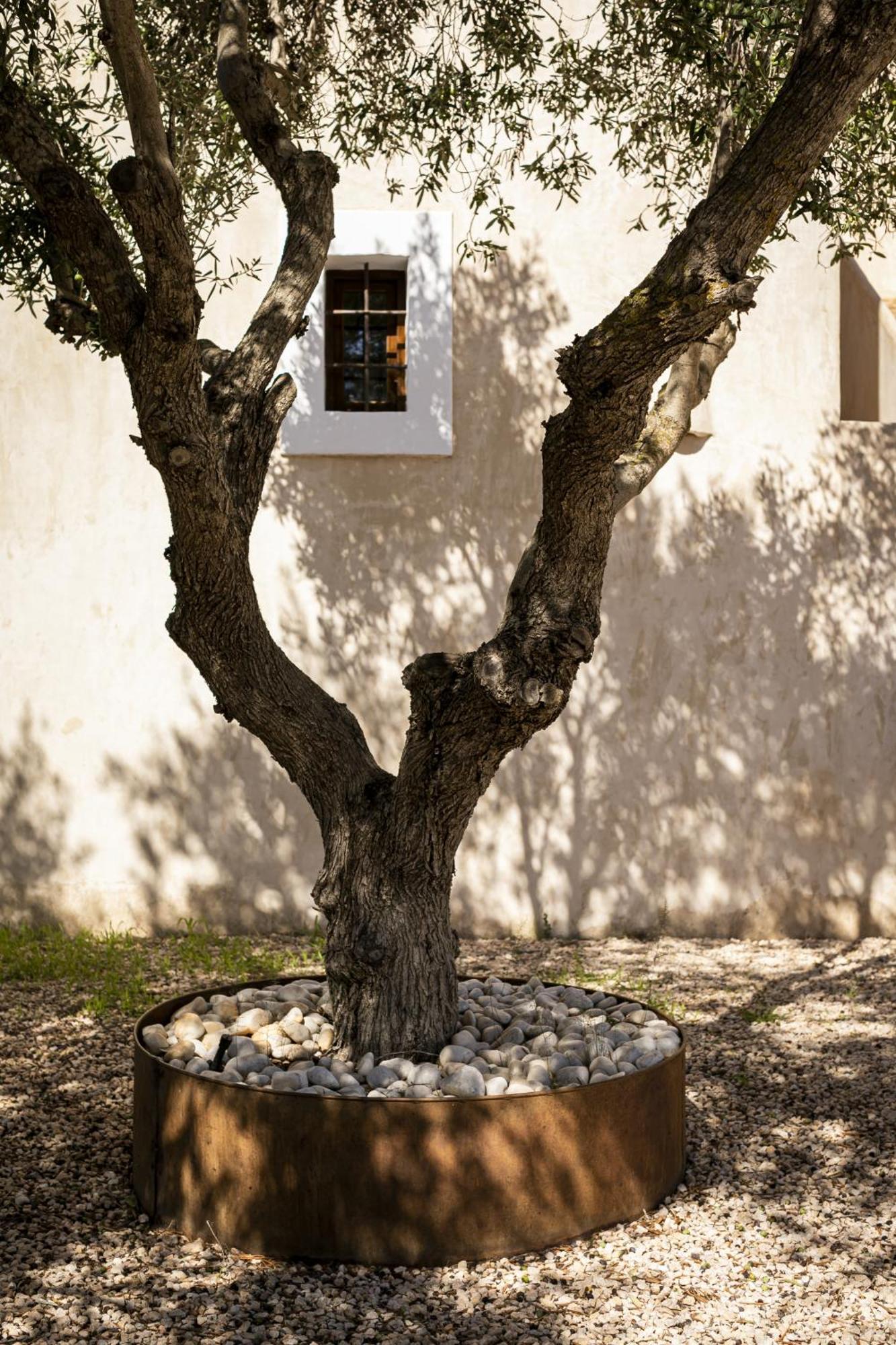 Can Noves - Villa De 4 Suites 35 Y 52 San Francisco Javier Eksteriør billede